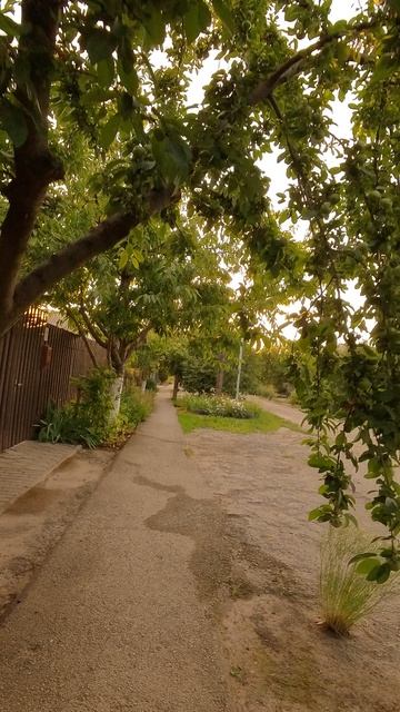 Сальск, улица Королёва