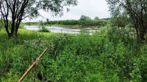 Рыбалка на Вятке с ночевкой. Крупный лещ, суп харчо на костре. Ветер и дождь!