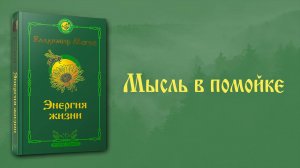 МЫСЛЬ В ПОМОЙКЕ