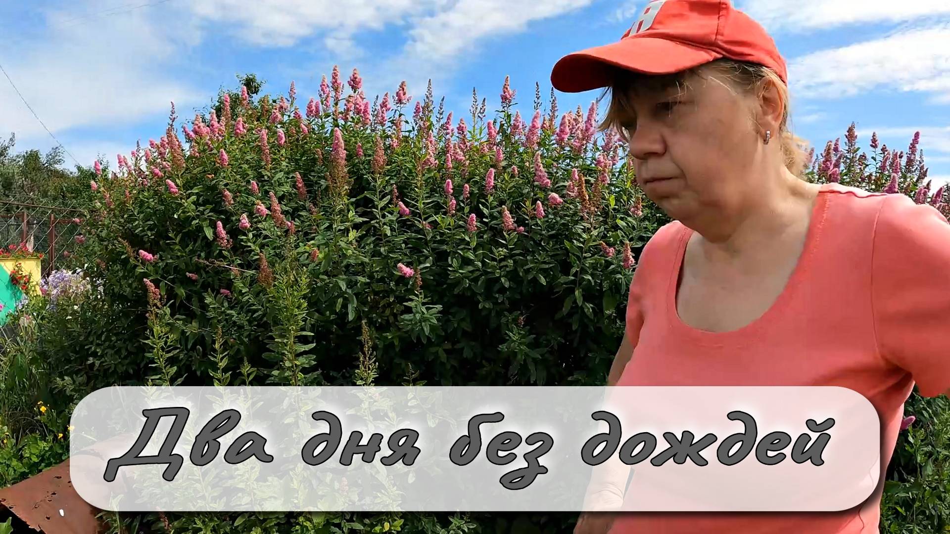 ДВА ДНЯ БЕЗ ДОЖДЕЙ смотреть онлайн