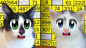 БИТВА КОТИКОВ 1: кто дойдёт до ФИНАЛА?🏆🐾