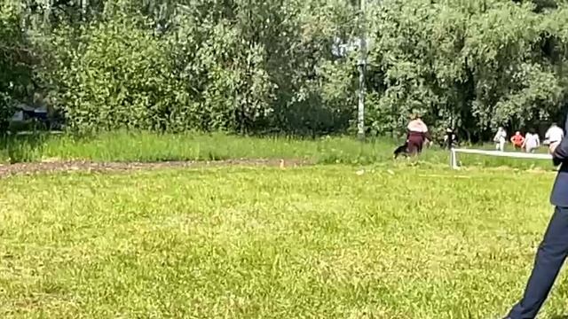 б/о Ирендорф ЗУРБАГАН +0+ №11. КЧК ВЕЛИКИЙ НОВГОРОД 15 июня`25 В.Федоров Моно н/о