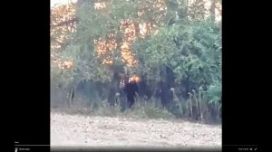 РЕАЛЬНОЕ ВИДЕО СНЕЖНОГО ЧЕЛОВЕКА