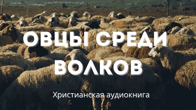 Овцы среди волков | Христианская аудиокнига