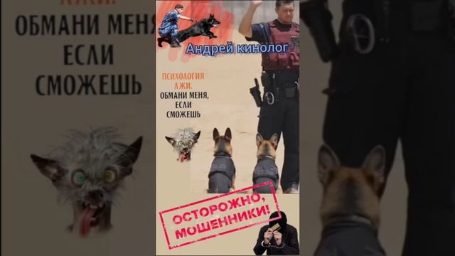 Разбирание в юридическом порядке! смотреть онлайн