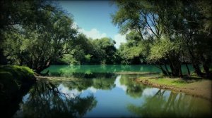 Дело Сесилии Чжан