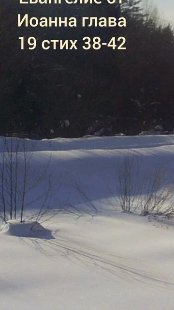 (81) Евангелие от Иоанна глава 19 стих 38-42 смотреть онлайн
