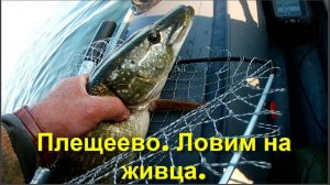 28.06.25 Плещеево озеро