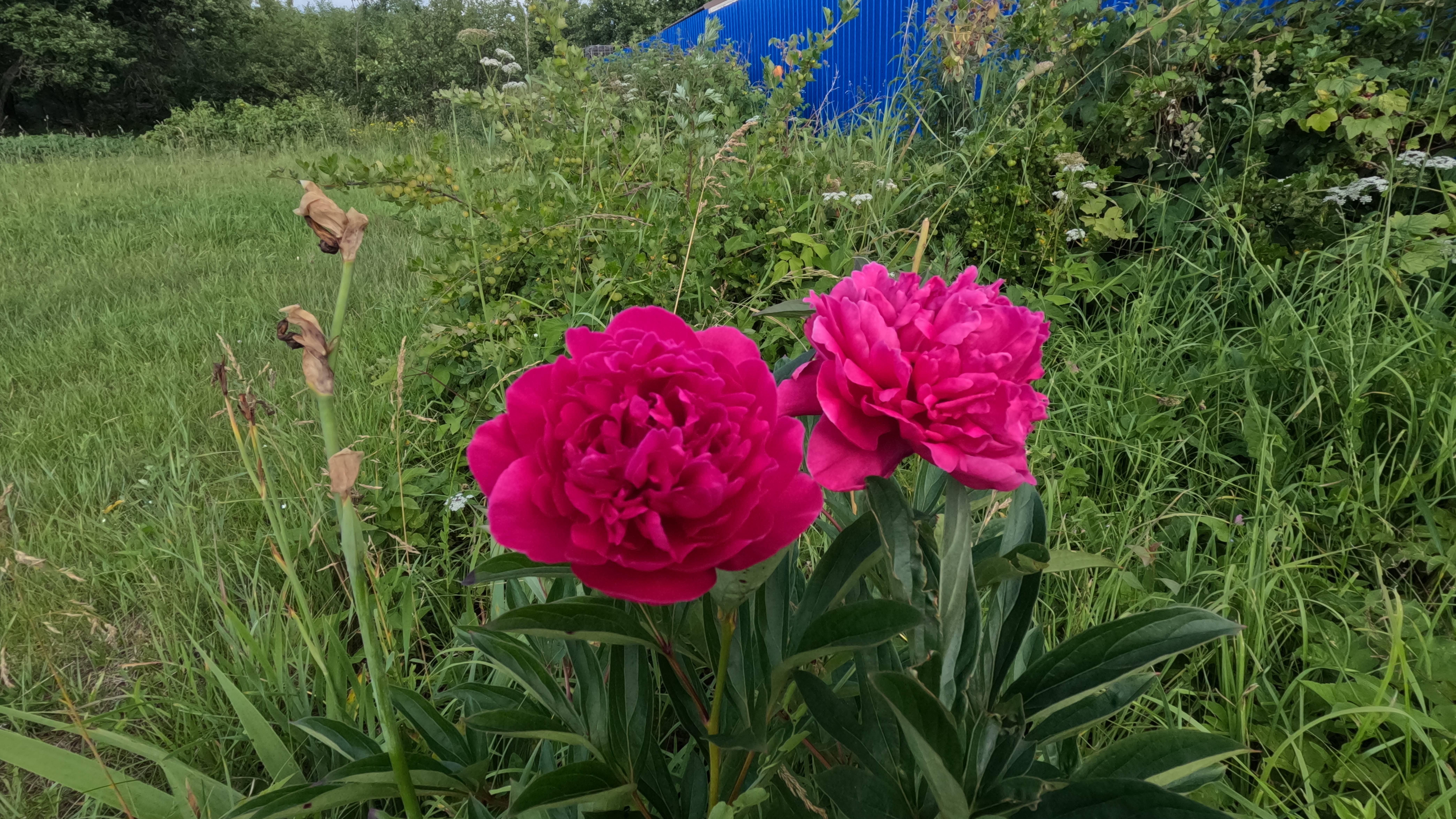 Село Старково смотреть онлайн