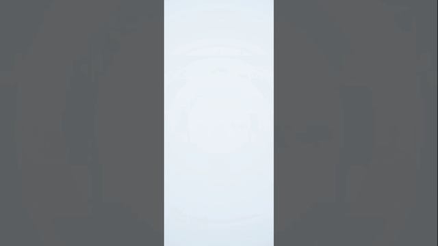 Pokemon TCG Pocket. Вскрытие сета Eevee Grove