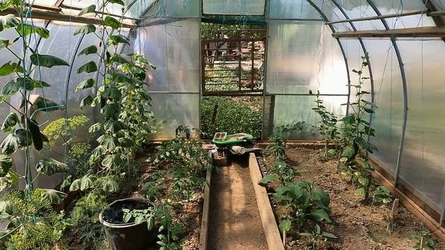 Большой дом в Крыму смотреть онлайн