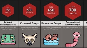 Вы не Поверите, но Это Существует!