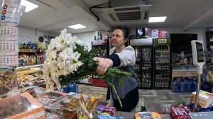 Сечин прячет деньги, Ирка развязалась, Отчебучил капитально, Семён из последних сил, Надежда,Клюква'