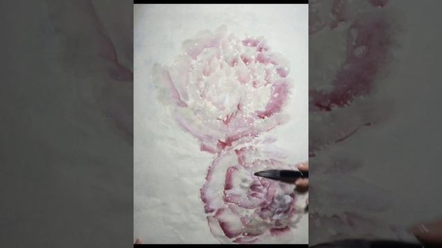 После дождя