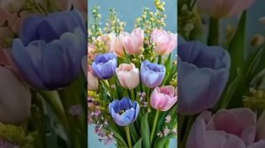 Красота Цветов под прекрасную музыку. Тюльпаны