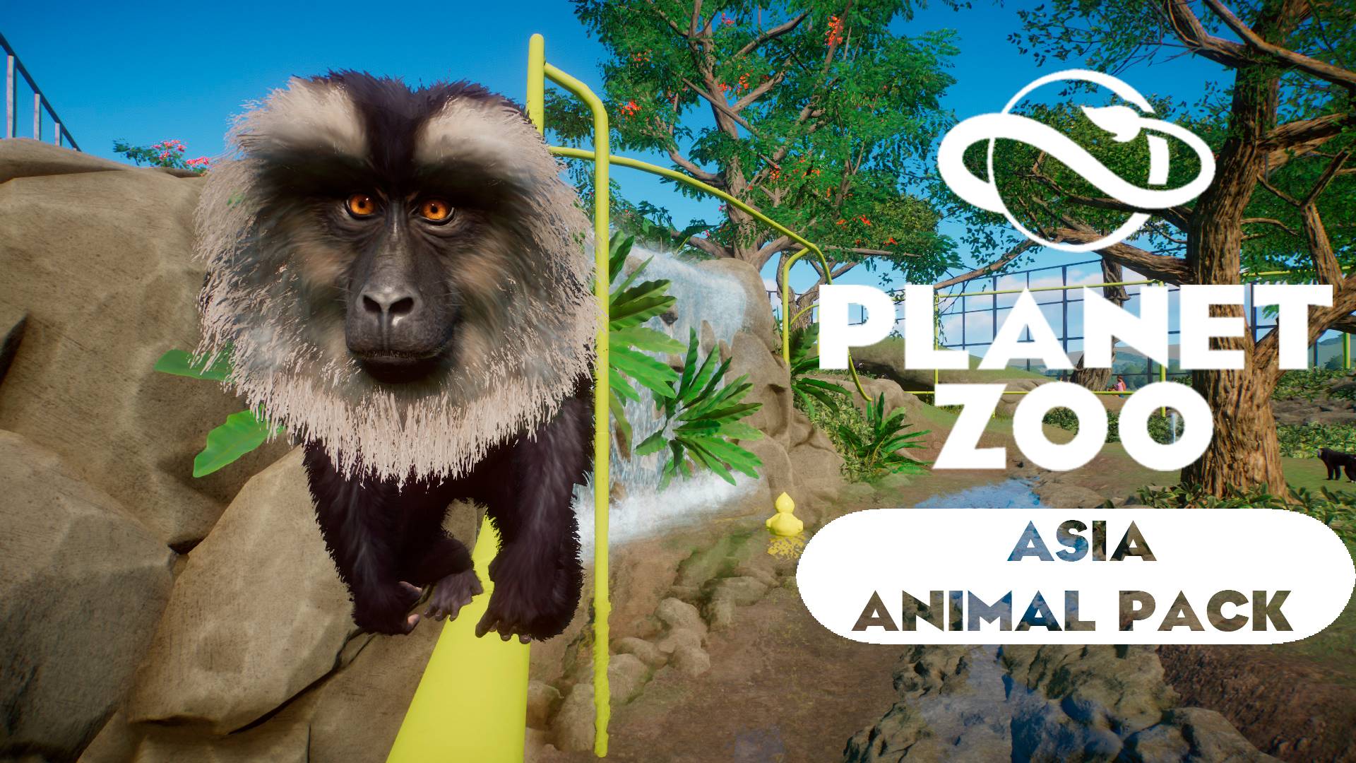 Planet Zoo: Asia Animal Pack - Вандеру смотреть онлайн