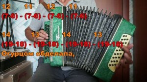 Простые частушки (2 варианта) подробный разбор на гармони №-419 с цифрами