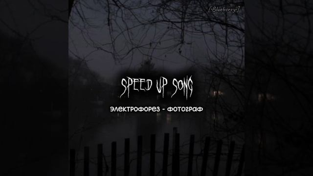 Электрофорез-Фотограф Speed Up