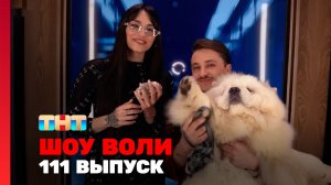 Шоу Воли, 111 выпуск