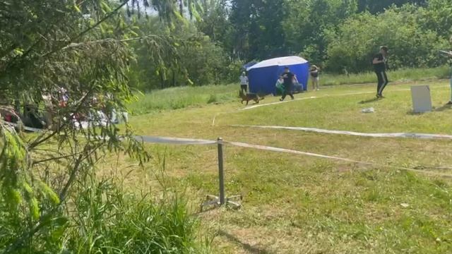 МОЛОДЫЕ СУКИ / КЧК ВЕЛИКИЙ НОВГОРОД 15 июня`25 В.Федоров Моно немецких овчарок