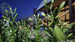 Жизнь в Деревне на Алтае