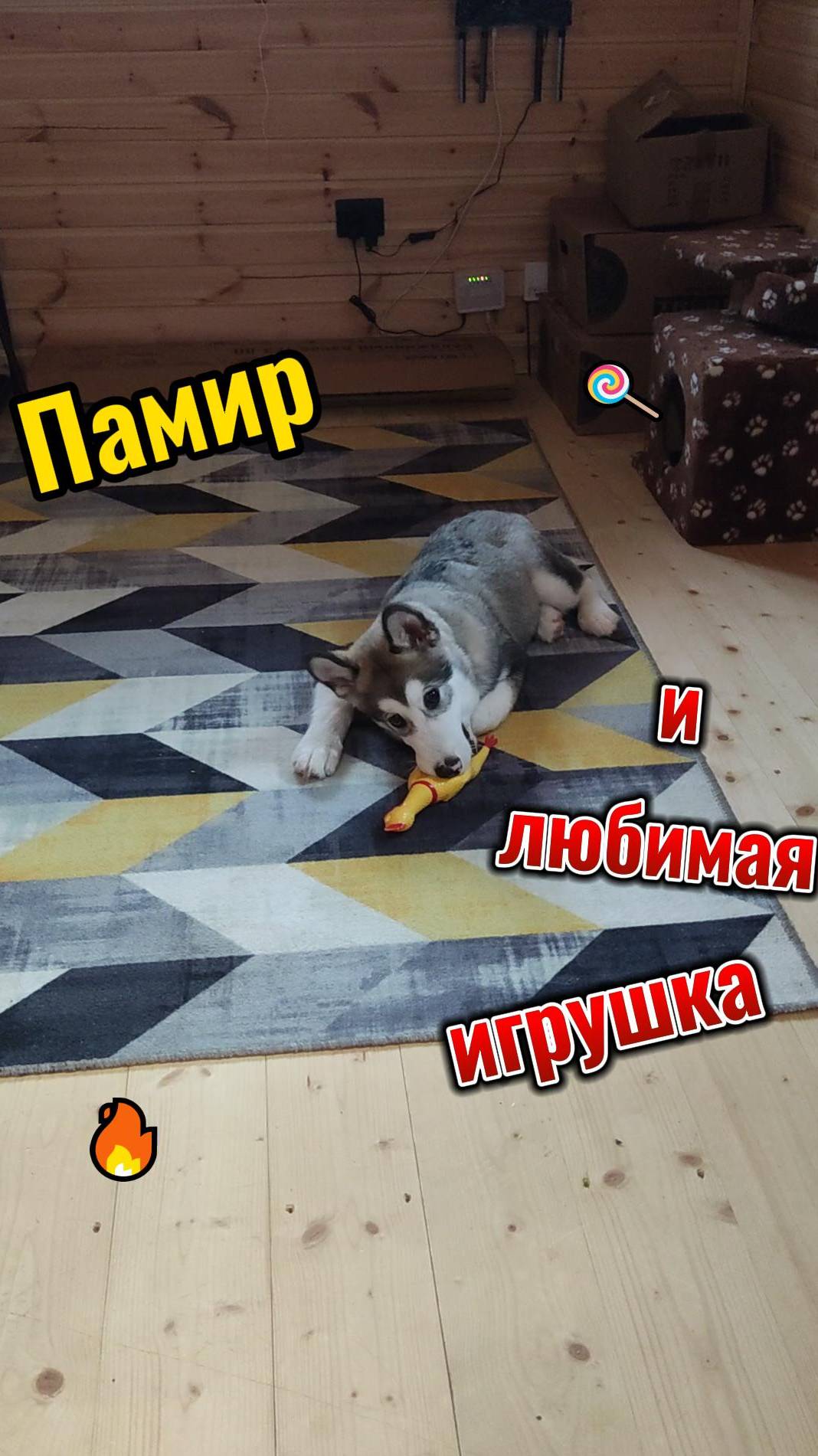 жалко но грызу ч 2