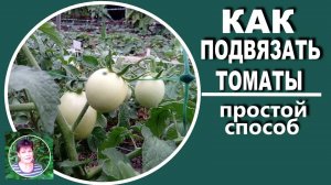 Еще один способ подвязать томаты. Колья и бечевки не нужны