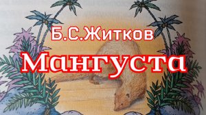 Рассказ «Мангуста» Б.С.Житков