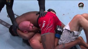 Терренс Маккинни против Вячеслава Борщева (видео). UFC 317