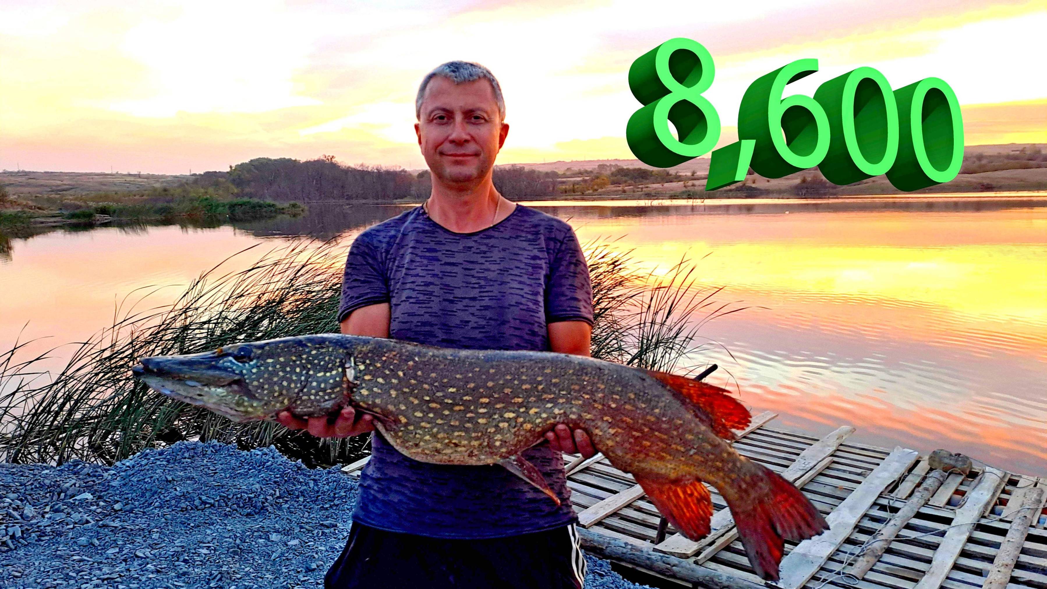 🔥 ОГРОМНАЯ ЩУКА 9 кг на БЛЕСНУ 9 гр (а что за блесна?) Валидольное вываживание щуки-гурмана 🔥 смотреть онлайн