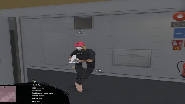 112173 17076  ПГ  13.27  29.06  2025