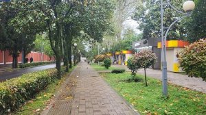 Прогулка по улице Ленина в Адлере
