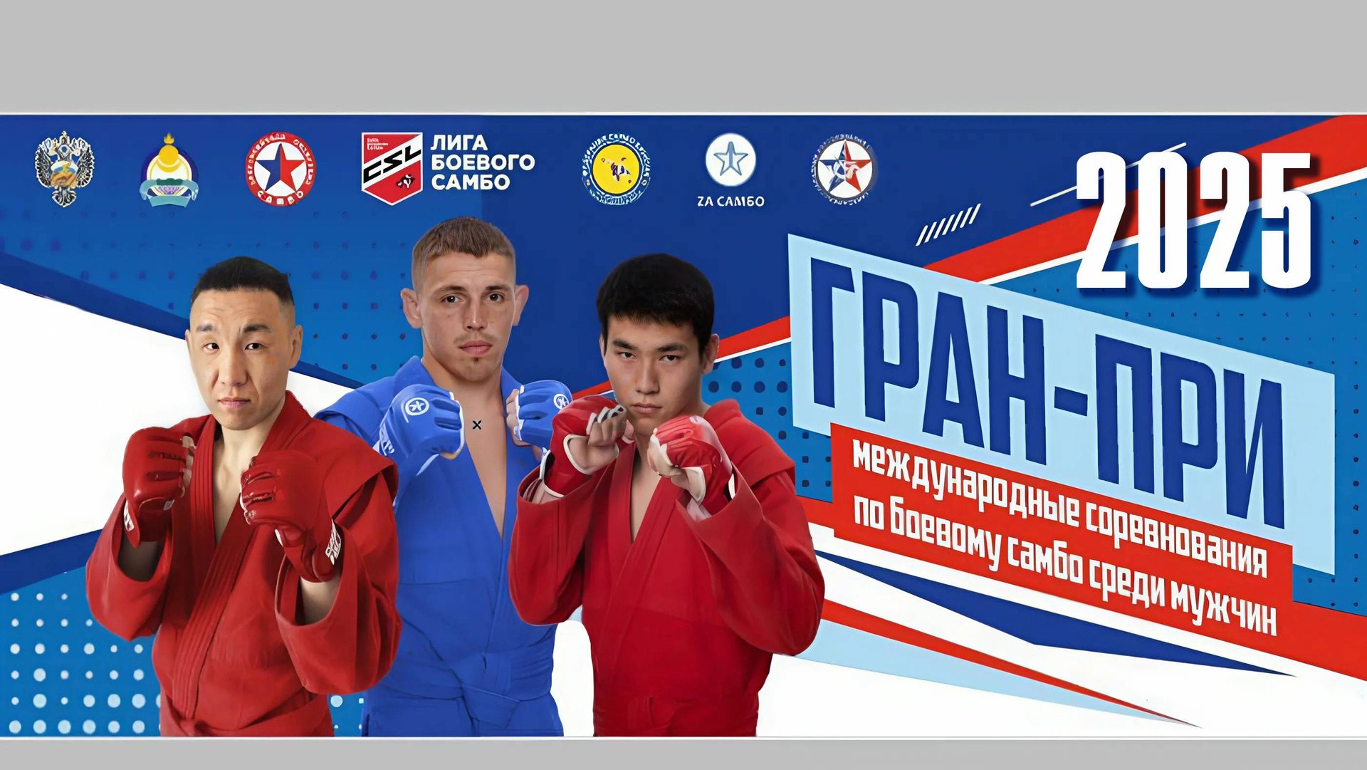 Гран-при по Боевому самбо
