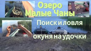 Рыбалка на озере Чаны. Окуневая битва