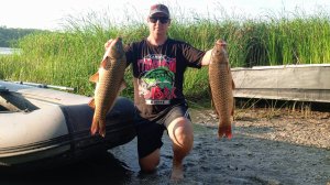 бешеный сазан в июне загибает донки рыбалка на сазана в июне на Дону #рыбалка #дон #летом #донка