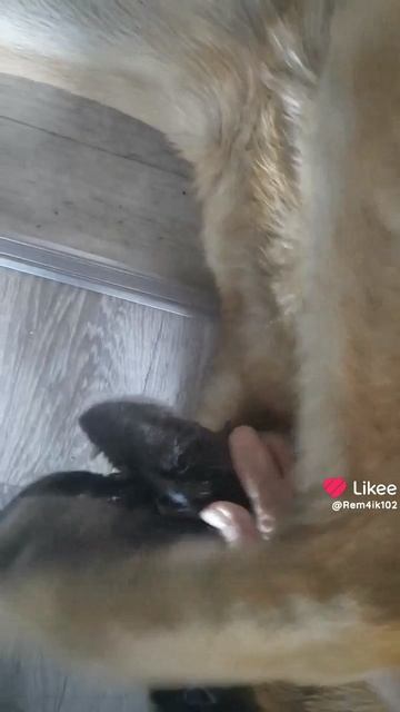 Тебя рядом нет - скучаю❤️ смотреть онлайн