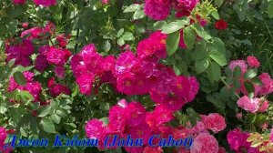 Джон Кэбот (John Cabot)