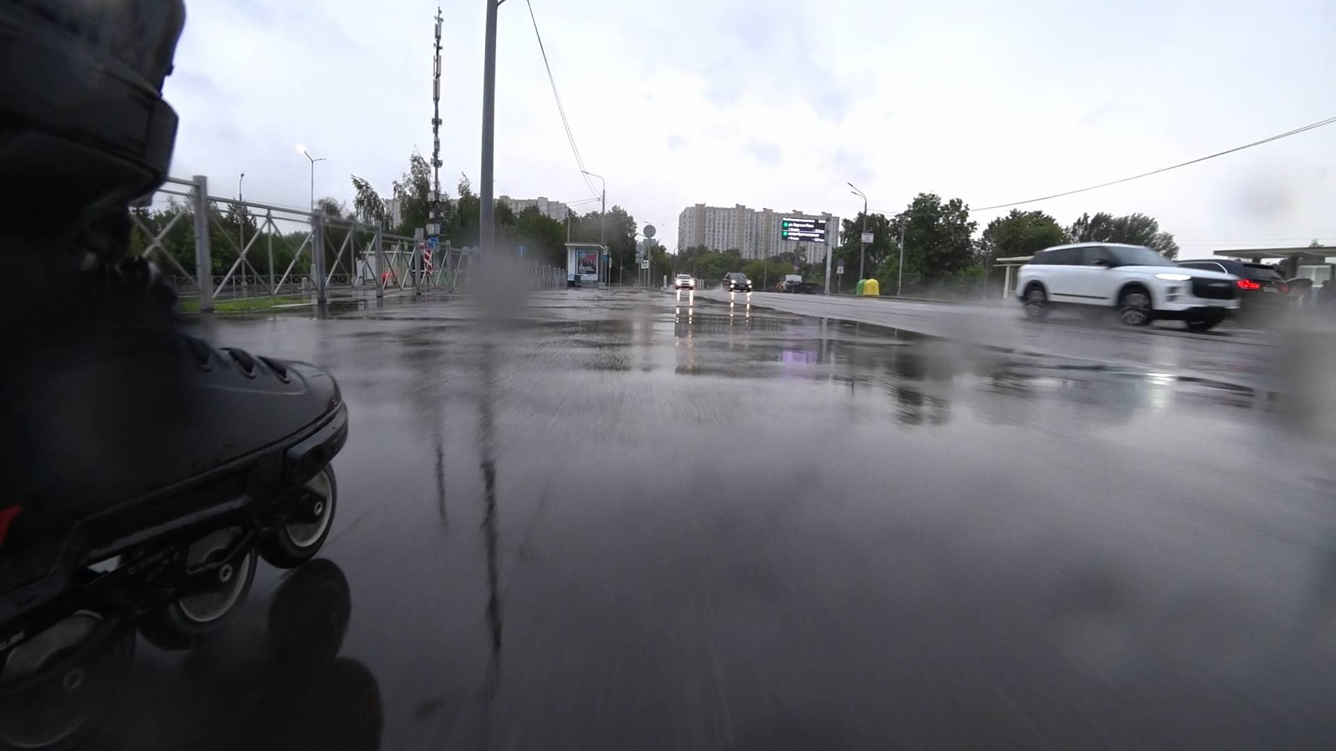 29.06.2025 - Лето в разгаре!