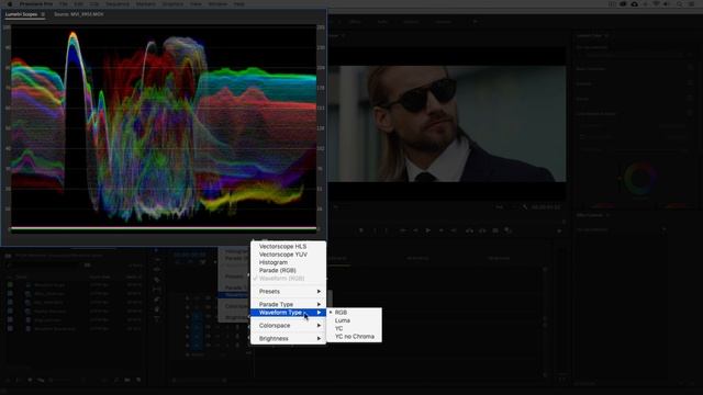 09. Lumetri Waveform Scopes смотреть онлайн
