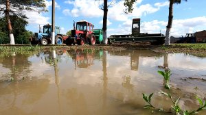 Ждем когда пройдут дожди!