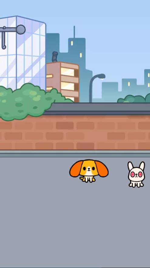 Catbycat — Maxwell The Cat