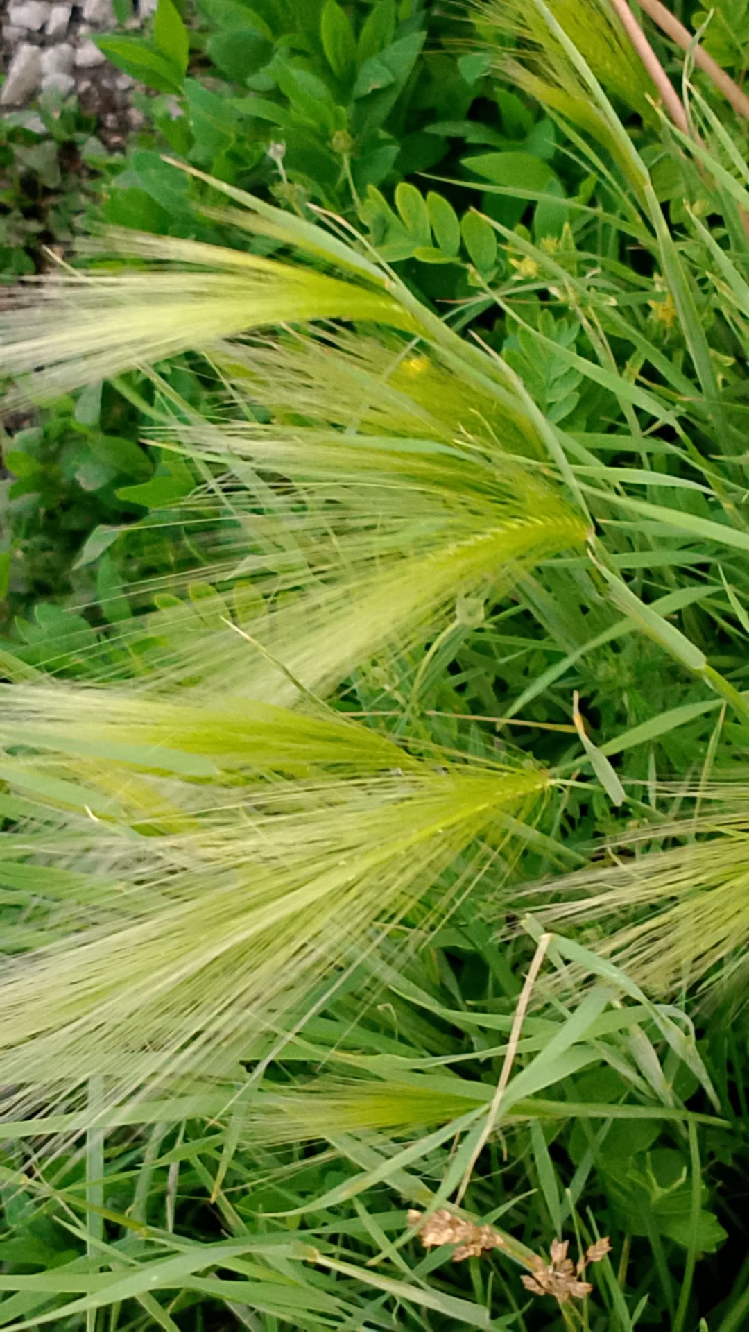 Вечные дороги жизни. Мой город. Природа. смотреть онлайн