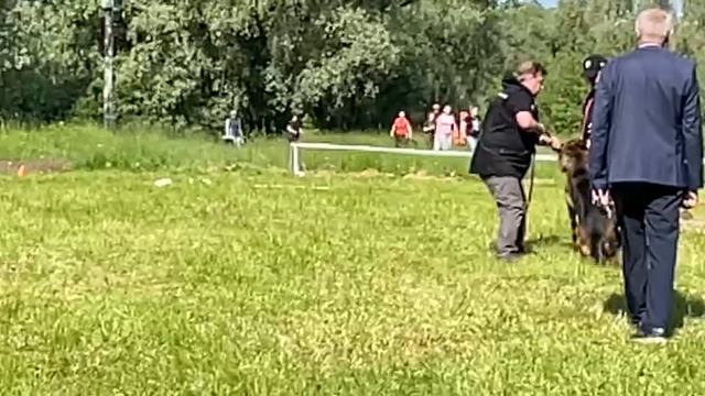 5 Отл. ISOR v. Zisawinkel ++- №12. КЧК ВЕЛИКИЙ НОВГОРОД 15 июня`25 В.Федоров Моно н/о