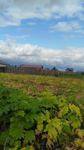 КП Бавария,в продаже последние участки!