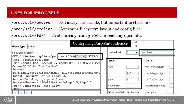 2 lfi смотреть онлайн
