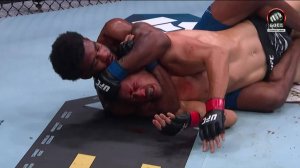 Нико Прайс против Джейкоба Смита (видео). UFC 317