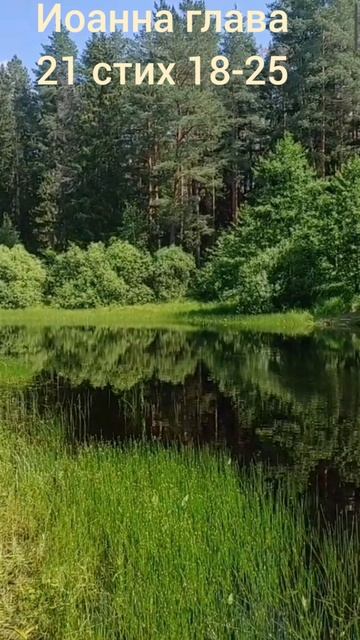 (87) Евангелие от Иоанна глава 21 стих 18-25 смотреть онлайн