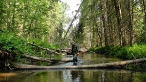 Исследую новые места на хариусной речке #524