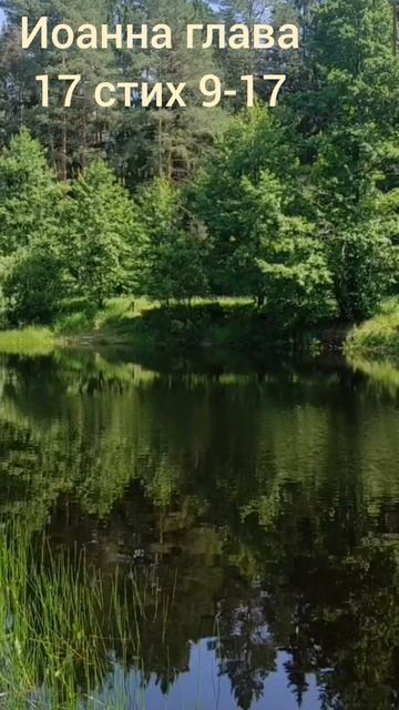(70) Евангелие от Иоанна глава 17 стих 9-17 смотреть онлайн