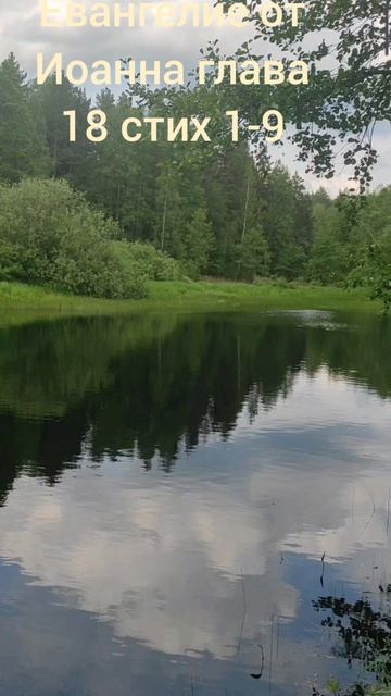 (72) Евангелие от Иоанна глава 18 стих 1-9 смотреть онлайн